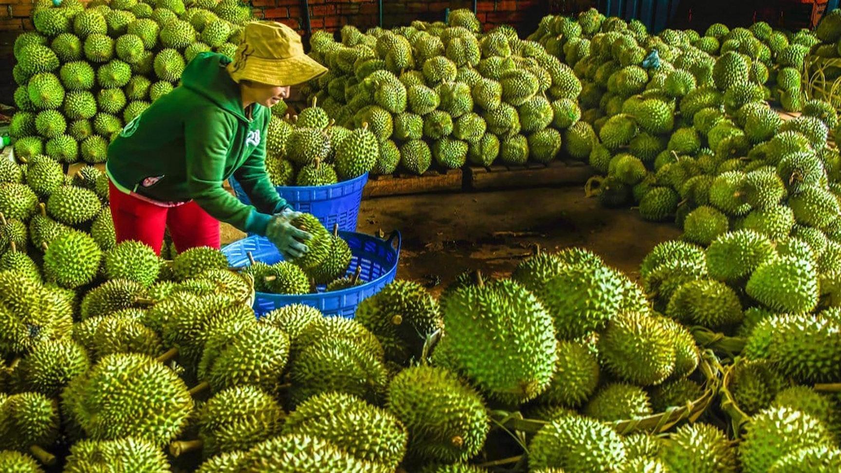 Kim ngạch thương mại nông nghiệp đạt 57 tỷ đô la trong nửa đầu năm 2025.