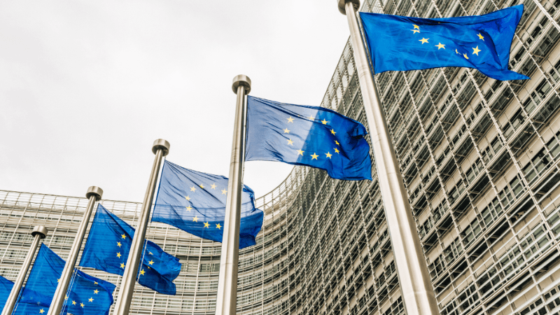 03 yêu cầu pháp lý cơ bản của EU mà doanh nghiệp xuất khẩu cần biết