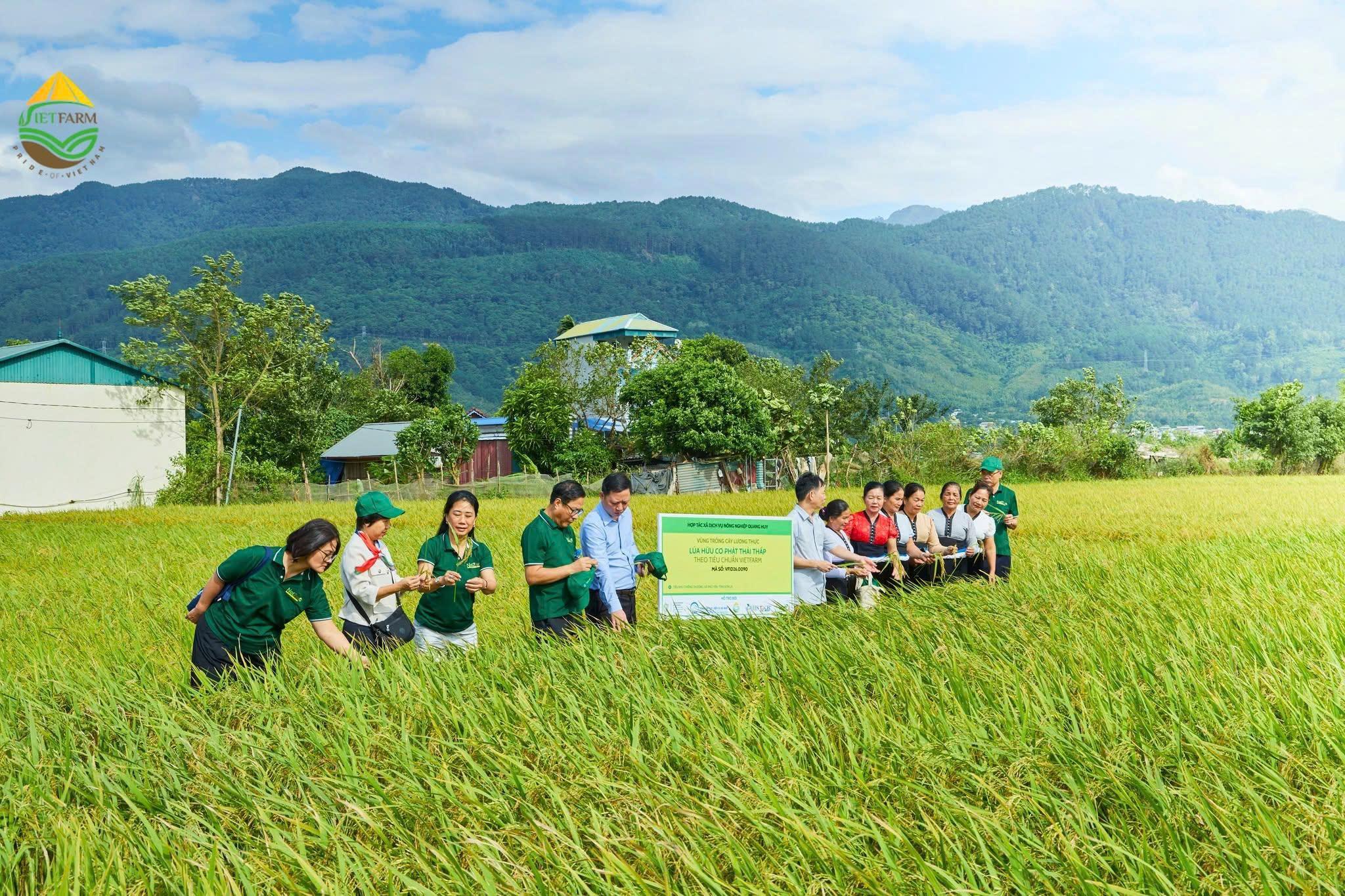 CDI x VVAGRI – VietAgroMarket to Strengthen Sustainable Agricultural Trade