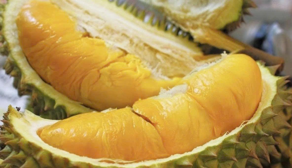 VIETNAM–CHINA PHYTOSANITARY PROTOCOL FOR FRESH DURIAN: KEY REQUIREMENTS TO KNOW