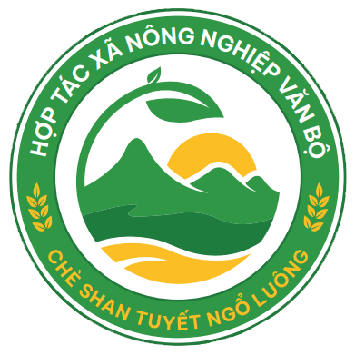 Van Bo Agricultural Cooperative | Hợp tác xã Nông nghiệp Văn Bộ