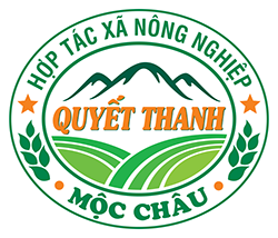 Quyet Thanh Moc Chau Agricultural Cooperative | Hợp tác xã Nông nghiệp Quyết Thanh Mộc Châu