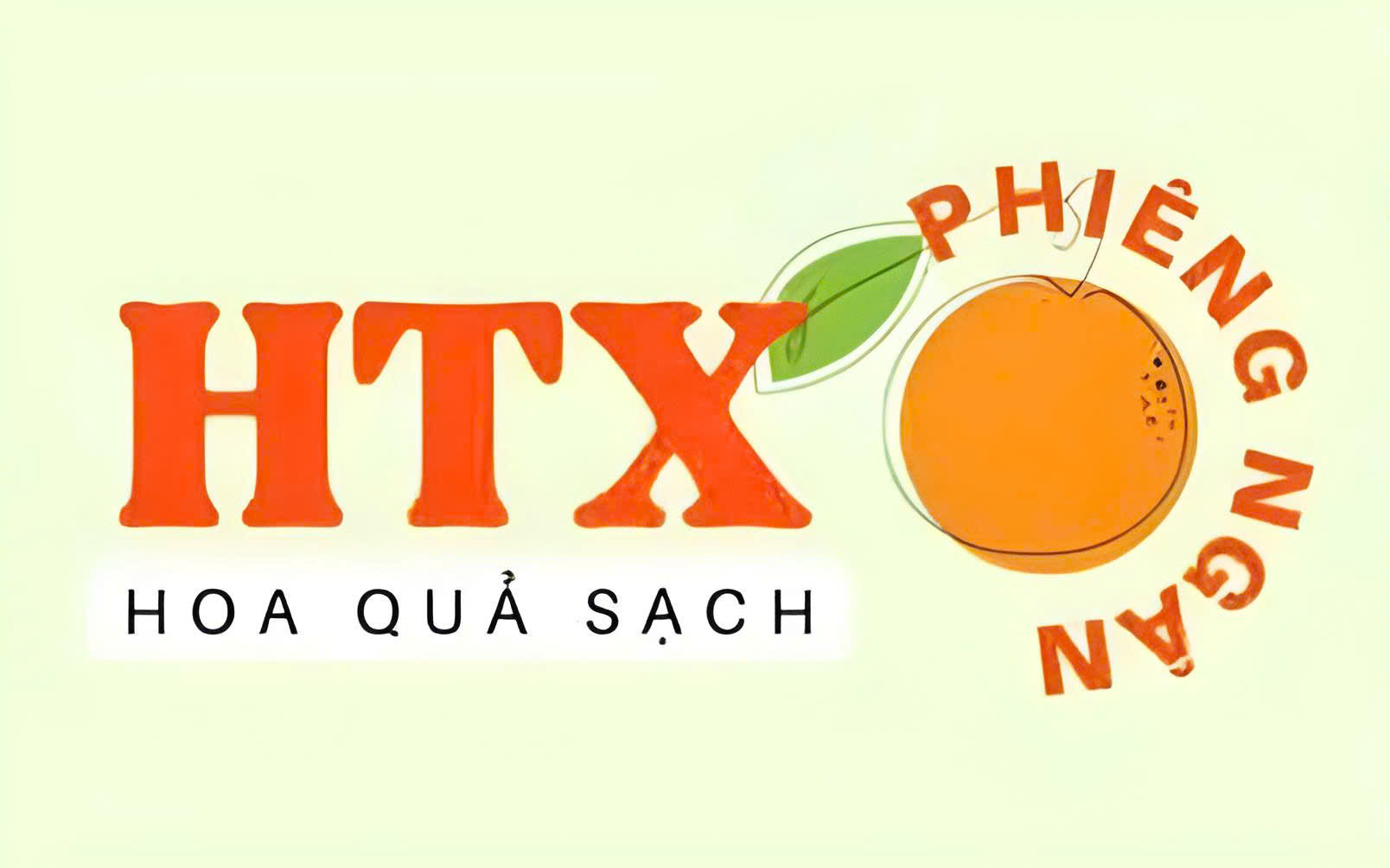 Phieng Ngan Clean Fruit and Agricultural Cooperative | Hợp tác xã Nông nghiệp - Hoa quả sạch Phiêng Ngân